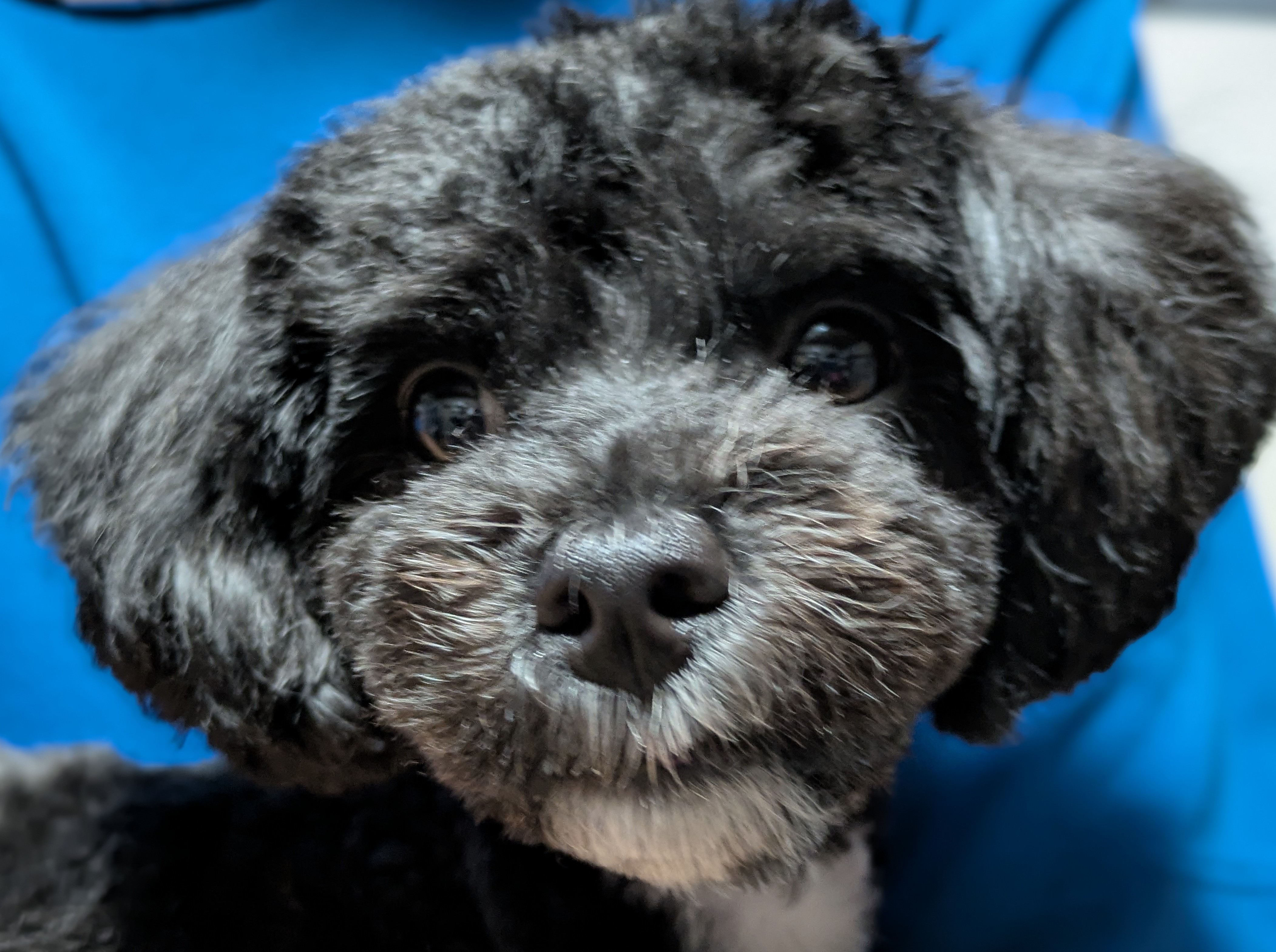 プロフィール写真4